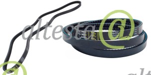 VBelt_Manitou_229300