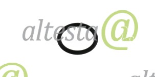 Seal_ring_injector_Liebherr_10222735