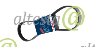 Polyrib_Belt_Iveco_500368902