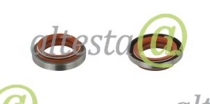 Oil_seal_Deutz_02985034