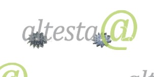 Fan_alternator_Manitou_133184