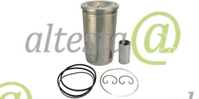 ЦПГ Комбайны РостСельМаш(РСМ) Torum 750 Mercedes OM460LA OE: 102969298