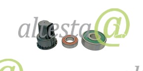 Комплект подшипников генератора Challenger MT765D OE: V836679141