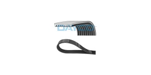 Polyrib_Belt_Cummins_5264521
