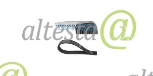 Polyrib_Belt_Fendt_916201040200