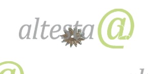 Крыльчатка генератора ДВС Liebherr D9408 OE: 10004541