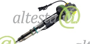 Injector_Weichai_1000019903