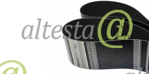 Polyrib_Belt_Cummins_5413023